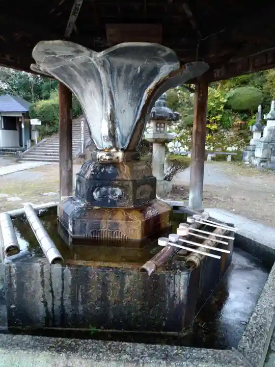 園城寺(三井寺)の手水舎