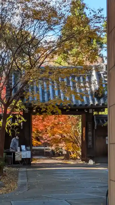 興聖寺(京都府)
