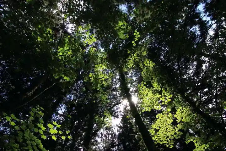 鹿島大神宮の自然