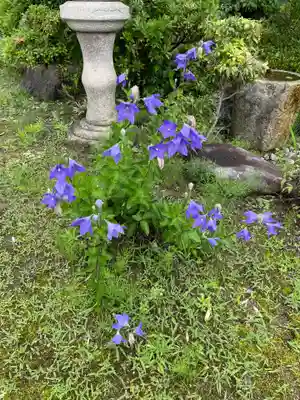 天鏡院(京都府)