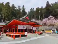 金櫻神社(山梨県)