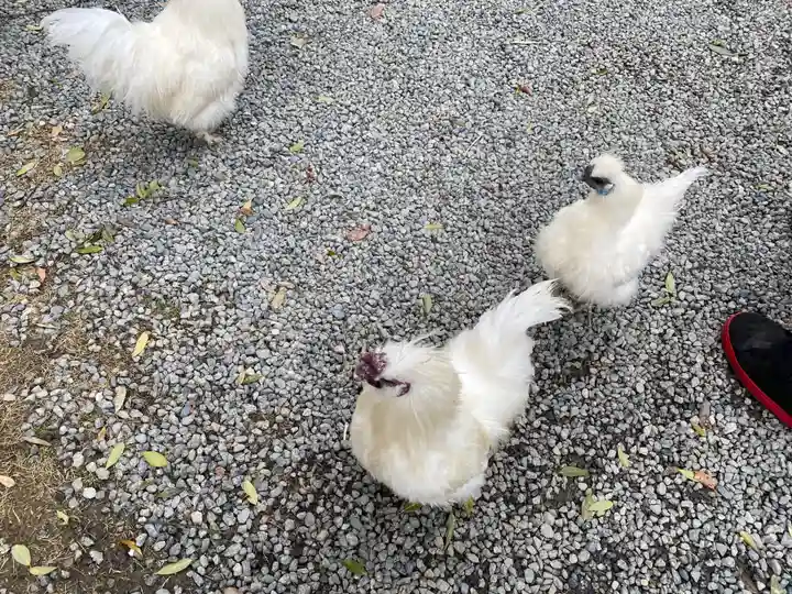 高屋敷稲荷神社(福島県)