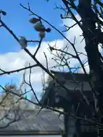 群馬県護国神社(群馬県)