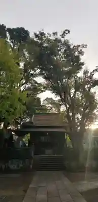 千住氷川神社の本殿・本堂