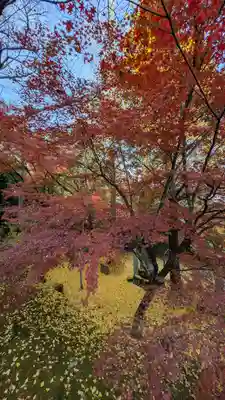 岩屋寺(京都府)