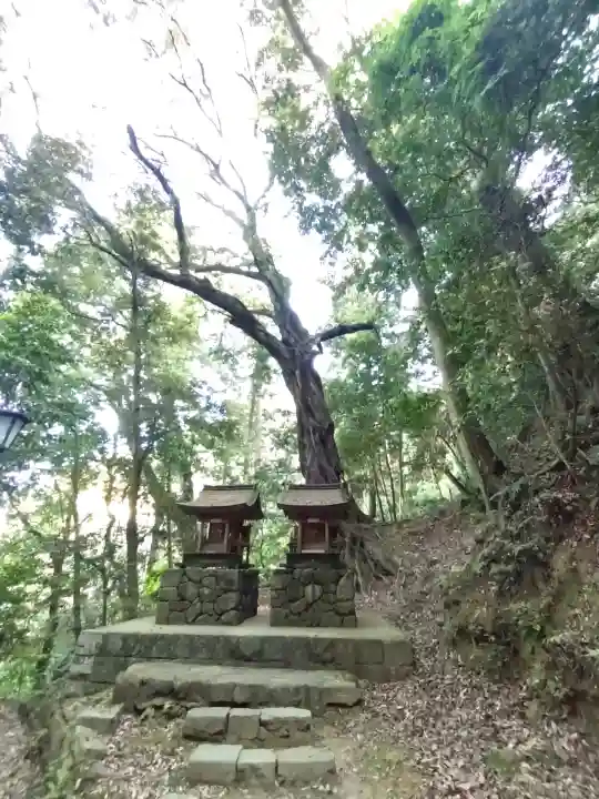 松尾寺の{uncategorized: "未分類", other: "その他", undefined: "問題あり", building: "その他建物", grave: "お墓", sacred_gate: "鳥居", guardian: "狛犬", statue: "像", buddha: "仏像", history: "歴史", nature: "自然", garden: "庭園", animal: "動物", pagoda: "塔", temizu: "手水舎", mountain_gate: "山門・神門", sanctuary: "本殿・本堂", subordinate: "末社・摂社", art: "芸術", scenery: "景色", jizo: "地蔵", ema: "絵馬", goshuin: "御朱印", omikuji: "おみくじ", items: "授与品その他", amulet: "お守り", goshuincho: "御朱印帳", eats: "食事", festival: "お祭り", votive_dance: "神楽", shichigosan: "七五三参", wedding: "結婚式", experience: "体験その他", initially: "初詣", around: "周辺", anti_infection: "感染症対策"}