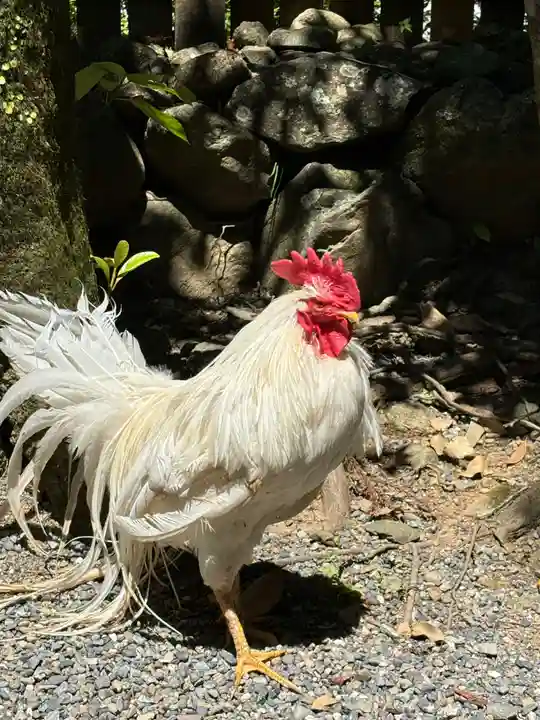 伊勢神宮内宮(皇大神宮)(三重県)
