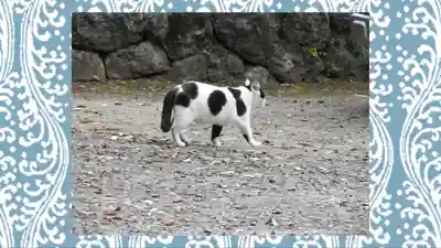 賀茂別雷神社(栃木県)