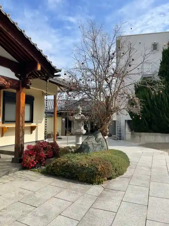 戒行寺の{uncategorized: "未分類", other: "その他", undefined: "問題あり", building: "その他建物", grave: "お墓", sacred_gate: "鳥居", guardian: "狛犬", statue: "像", buddha: "仏像", history: "歴史", nature: "自然", garden: "庭園", animal: "動物", pagoda: "塔", temizu: "手水舎", mountain_gate: "山門・神門", sanctuary: "本殿・本堂", subordinate: "末社・摂社", art: "芸術", scenery: "景色", jizo: "地蔵", ema: "絵馬", goshuin: "御朱印", omikuji: "おみくじ", items: "授与品その他", amulet: "お守り", goshuincho: "御朱印帳", eats: "食事", festival: "お祭り", votive_dance: "神楽", shichigosan: "七五三参", wedding: "結婚式", experience: "体験その他", initially: "初詣", around: "周辺", anti_infection: "感染症対策"}