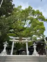 事任八幡宮の{uncategorized: "未分類", other: "その他", undefined: "問題あり", building: "その他建物", grave: "お墓", sacred_gate: "鳥居", guardian: "狛犬", statue: "像", buddha: "仏像", history: "歴史", nature: "自然", garden: "庭園", animal: "動物", pagoda: "塔", temizu: "手水舎", mountain_gate: "山門・神門", sanctuary: "本殿・本堂", subordinate: "末社・摂社", art: "芸術", scenery: "景色", jizo: "地蔵", ema: "絵馬", goshuin: "御朱印", omikuji: "おみくじ", items: "授与品その他", amulet: "お守り", goshuincho: "御朱印帳", eats: "食事", festival: "お祭り", votive_dance: "神楽", shichigosan: "七五三参", wedding: "結婚式", experience: "体験その他", initially: "初詣", around: "周辺", anti_infection: "感染症対策"}