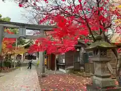 彌彦神社　(伊夜日子神社)(北海道)