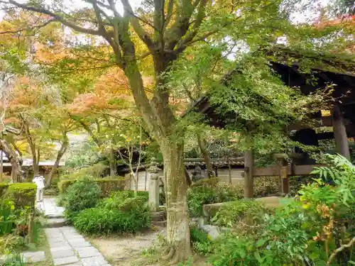 瑞泉寺の庭園