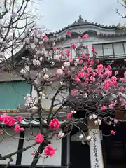 善光寺の自然