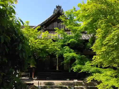 勝林寺(京都府)
