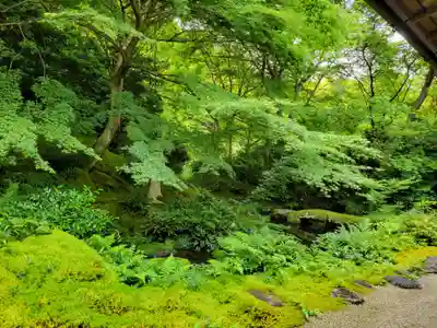 光明寺瑠璃光院(京都府)