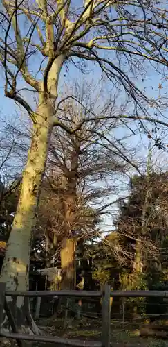 諏方神社の自然