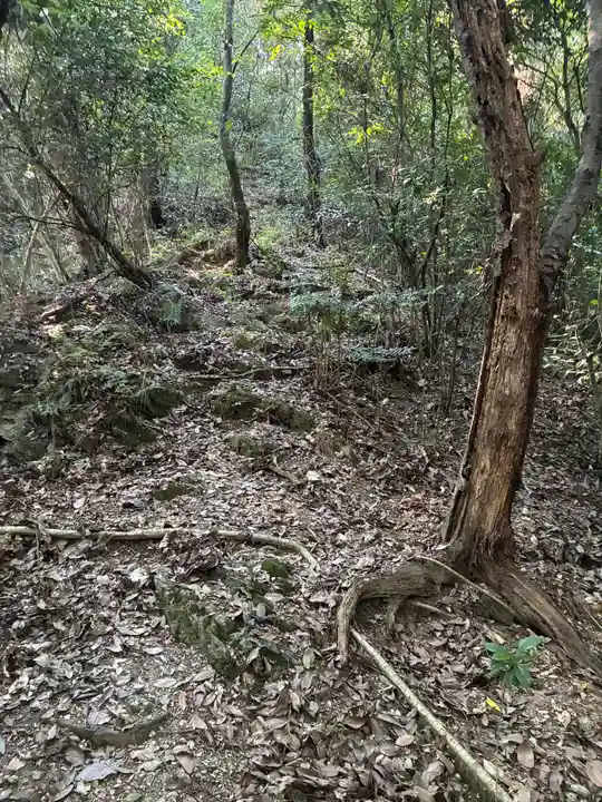 天一神社(徳島県)