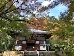 地蔵院(京都府)