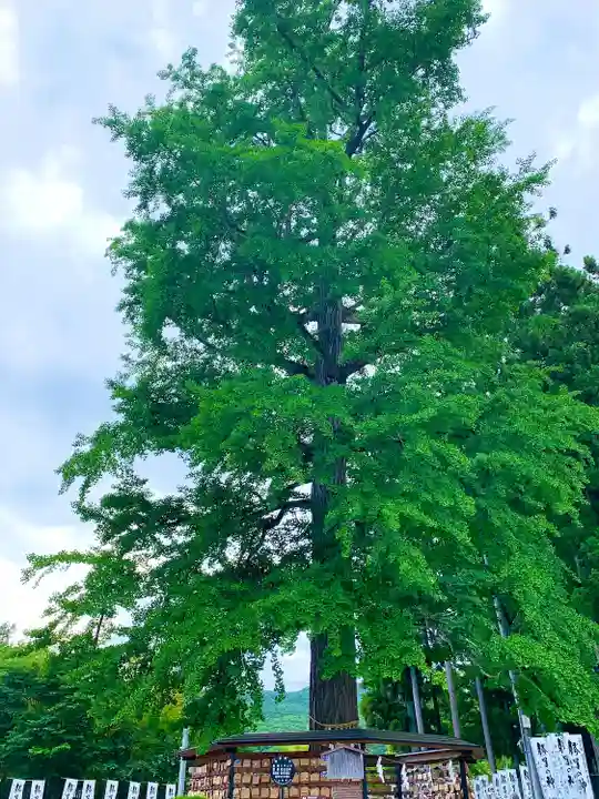 秋保神社(宮城県)