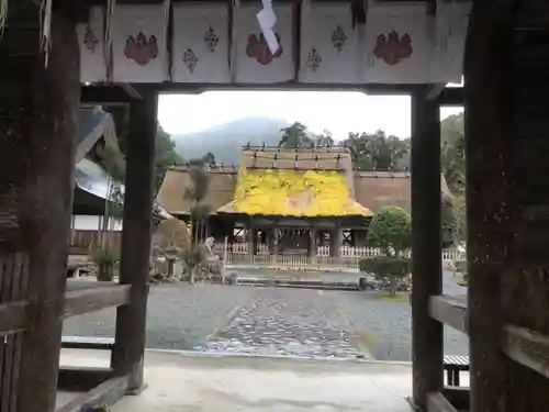 摩氣神社の本殿・本堂