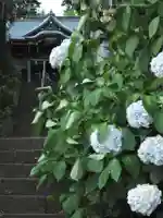 西八朔杉山神社(神奈川県)