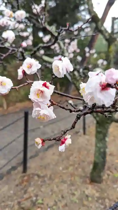 長岡天満宮(京都府)