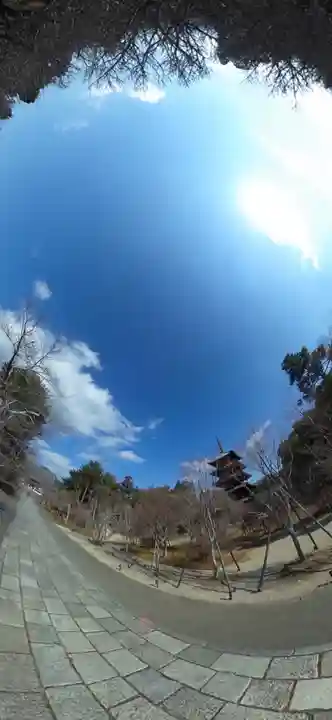 仁和寺(京都府)