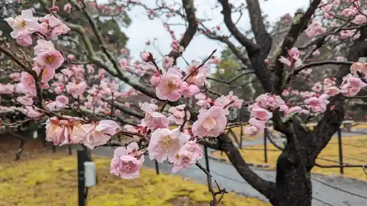 長岡天満宮(京都府)
