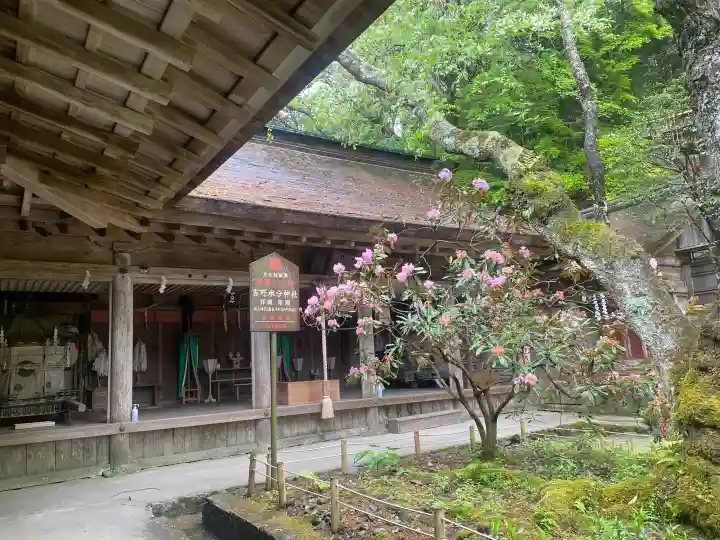 吉野水分神社(吉野町)の{uncategorized: "未分類", other: "その他", undefined: "問題あり", building: "その他建物", grave: "お墓", sacred_gate: "鳥居", guardian: "狛犬", statue: "像", buddha: "仏像", history: "歴史", nature: "自然", garden: "庭園", animal: "動物", pagoda: "塔", temizu: "手水舎", mountain_gate: "山門・神門", sanctuary: "本殿・本堂", subordinate: "末社・摂社", art: "芸術", scenery: "景色", jizo: "地蔵", ema: "絵馬", goshuin: "御朱印", omikuji: "おみくじ", items: "授与品その他", amulet: "お守り", goshuincho: "御朱印帳", eats: "食事", festival: "お祭り", votive_dance: "神楽", shichigosan: "七五三参", wedding: "結婚式", experience: "体験その他", initially: "初詣", around: "周辺", anti_infection: "感染症対策"}