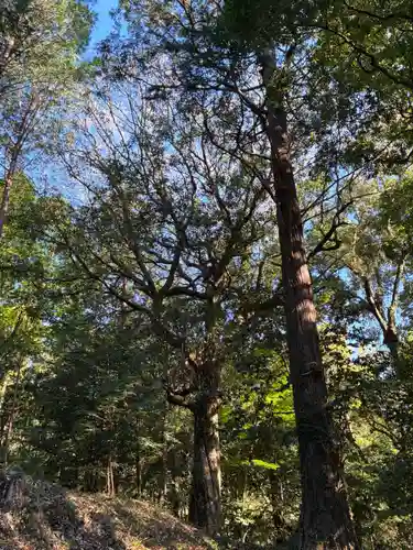 山王神社(茨城県)