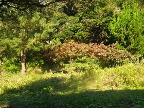東勝寺跡の自然