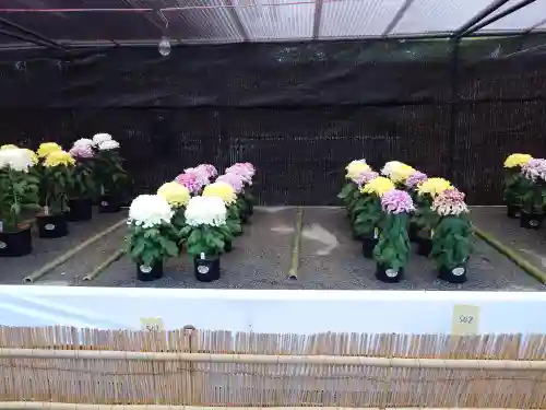 宗像大社(福岡県)