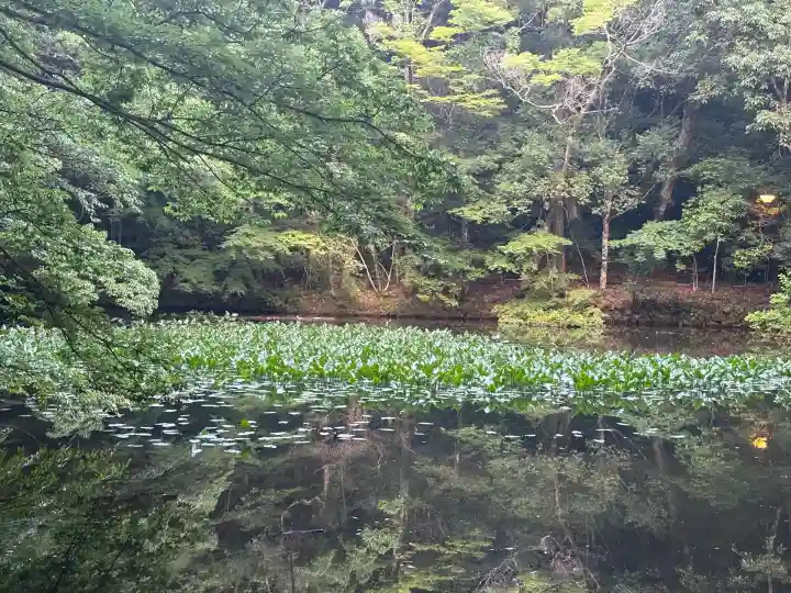 伊勢神宮内宮(皇大神宮)(三重県)