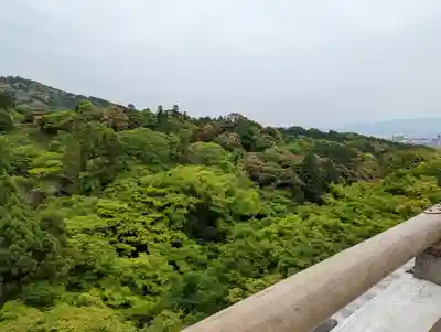 清水寺(京都府)