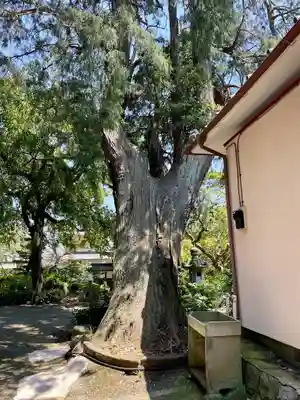 真福寺(神奈川県)