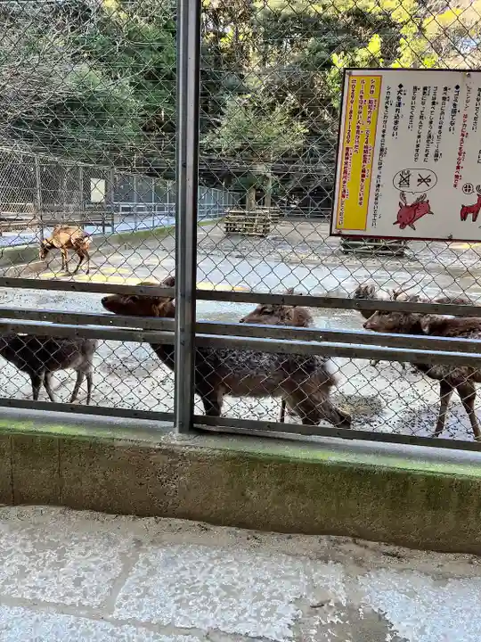 鹿島神宮(茨城県)