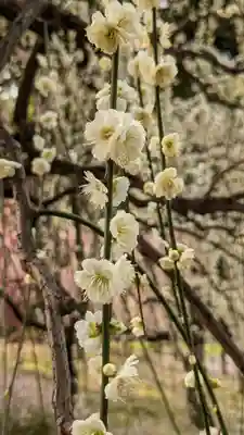 城南宮(京都府)