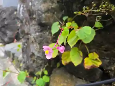 貴船神社奥宮(京都府)