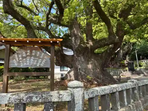 土肥神社の{uncategorized: "未分類", other: "その他", undefined: "問題あり", building: "その他建物", grave: "お墓", sacred_gate: "鳥居", guardian: "狛犬", statue: "像", buddha: "仏像", history: "歴史", nature: "自然", garden: "庭園", animal: "動物", pagoda: "塔", temizu: "手水舎", mountain_gate: "山門・神門", sanctuary: "本殿・本堂", subordinate: "末社・摂社", art: "芸術", scenery: "景色", jizo: "地蔵", ema: "絵馬", goshuin: "御朱印", omikuji: "おみくじ", items: "授与品その他", amulet: "お守り", goshuincho: "御朱印帳", eats: "食事", festival: "お祭り", votive_dance: "神楽", shichigosan: "七五三参", wedding: "結婚式", experience: "体験その他", initially: "初詣", around: "周辺", anti_infection: "感染症対策"}