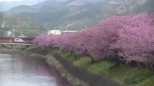 かっぱの寺 栖足寺の自然