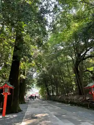 霧島神宮(鹿児島県)