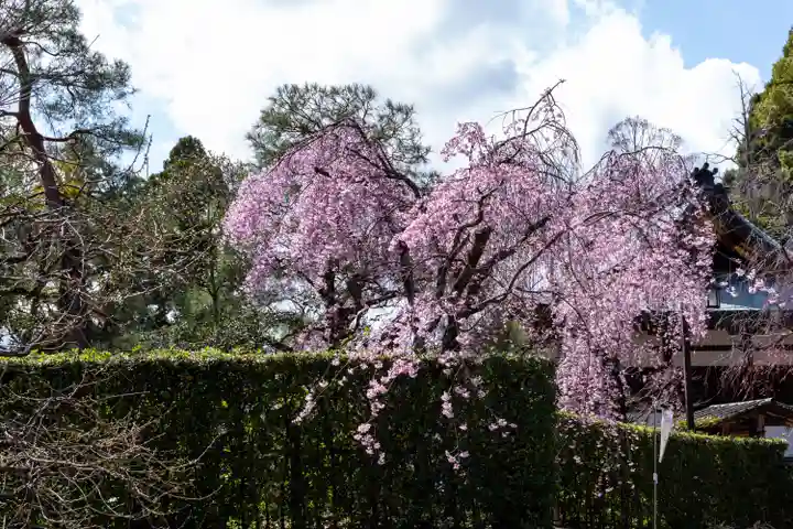 北野天満宮(京都府)