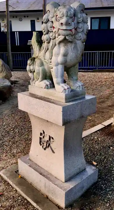 常世岐姫神社の狛犬