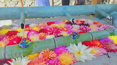 岡寺(龍蓋寺)(奈良県)