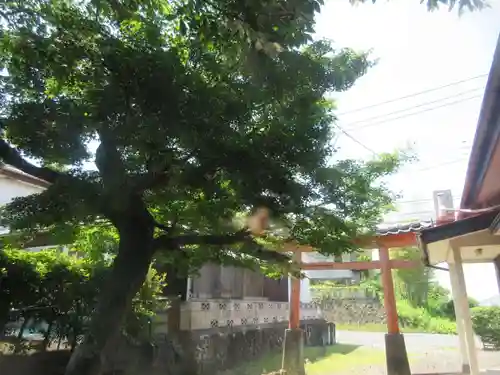 出流神社(埼玉県)