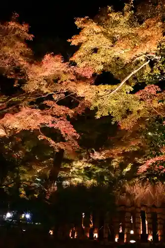 宝厳院(京都府)