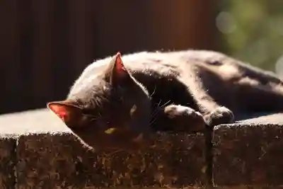 玉野御嶽神社(愛知県)