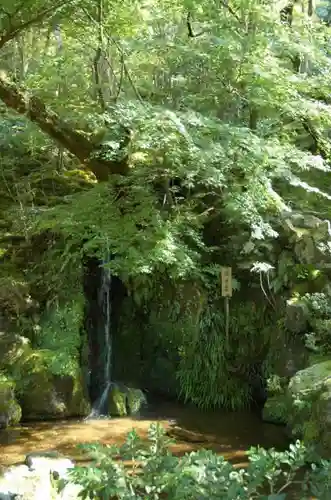 慈照寺（慈照禅寺・銀閣寺）の庭園