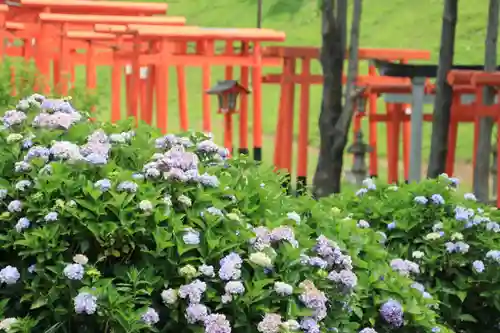 高屋敷稲荷神社の鳥居