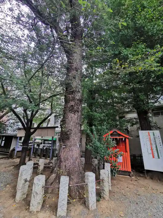 池尻稲荷神社の自然